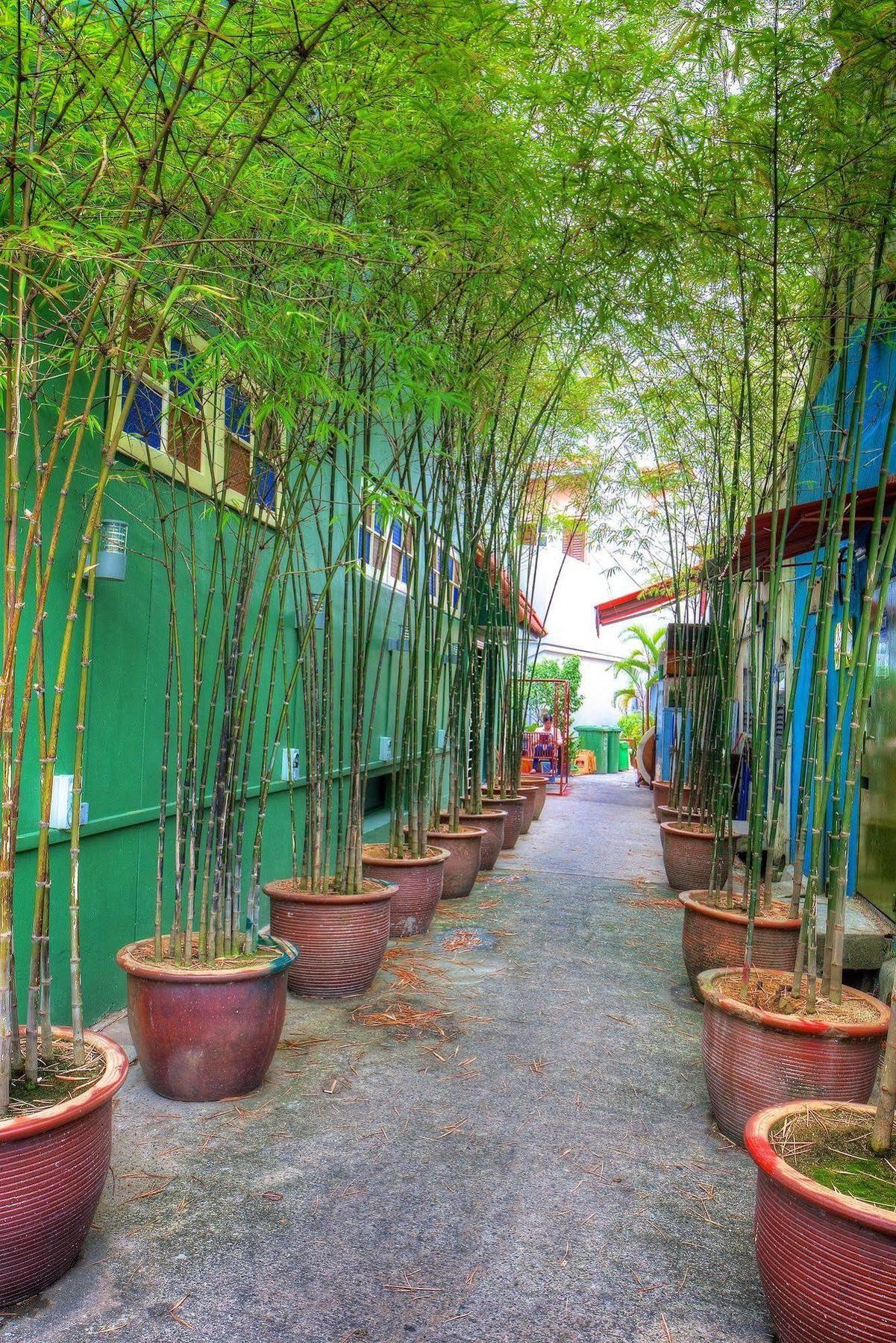 Superb Hostel Singapore Eksteriør bilde